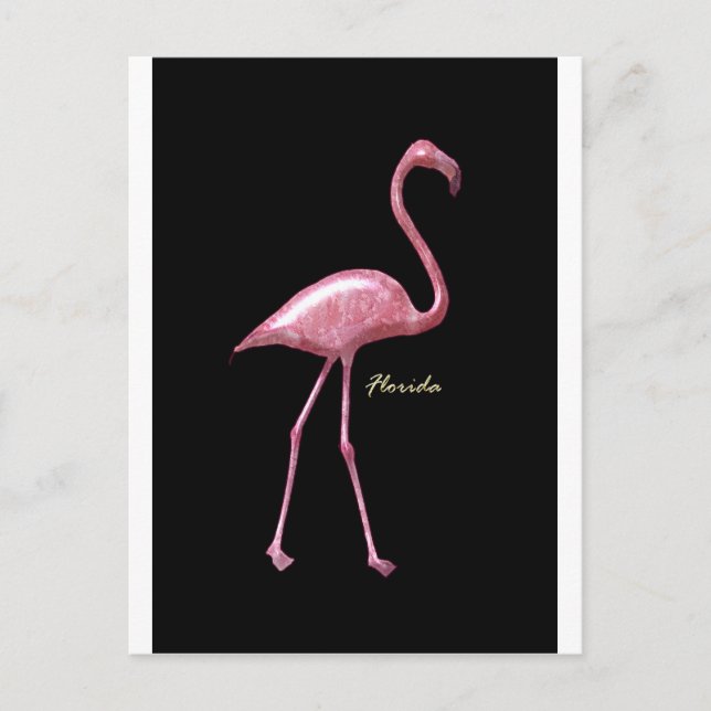 Postal Florida Pink Flamingo (Anverso)