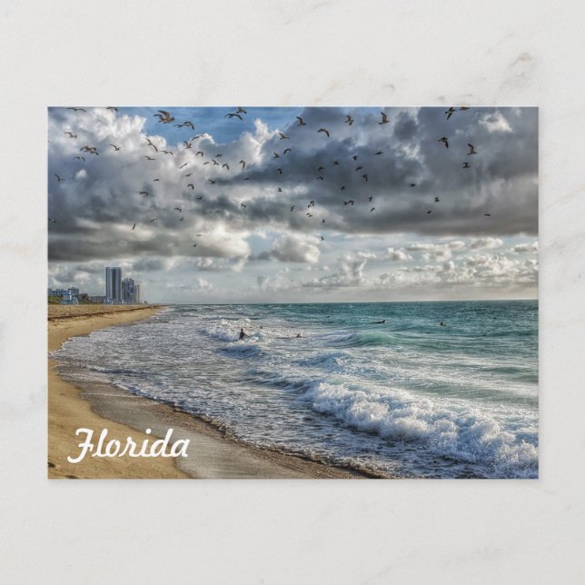 Postal Florida Post Card, costa sur de Florida (Anverso)