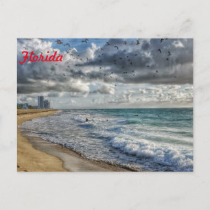 Postal Florida Post Card, costa sur de Florida