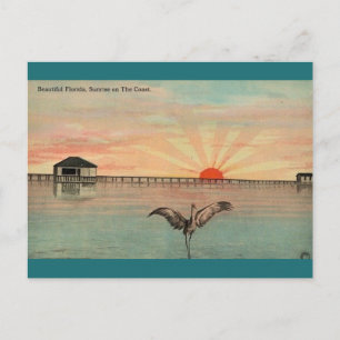 Postal Florida Sandhill Sunrise