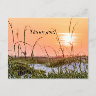 Postal Florida Sea Oats Sunrise Gracias Postcard