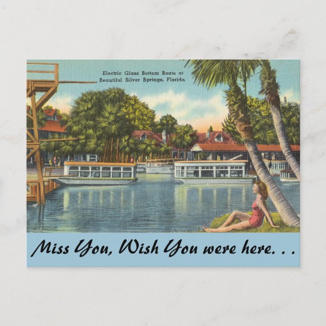 Postal Florida, Silver Springs (Anverso)