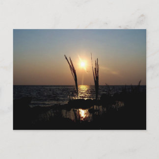 Postal Florida Sunset