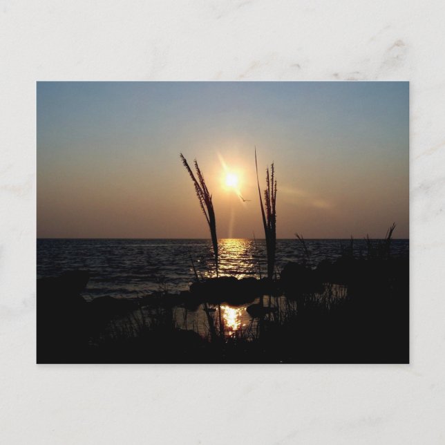Postal Florida Sunset (Anverso)