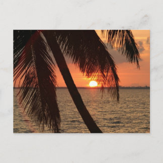 Postal Florida Sunset