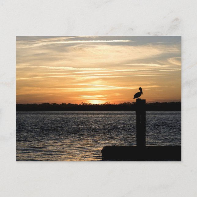 Postal Florida Sunset con Pelican (Anverso)
