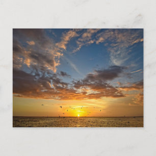 Postal Florida Sunset - Postcard
