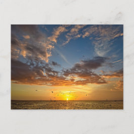 Postal Florida Sunset - Postcard