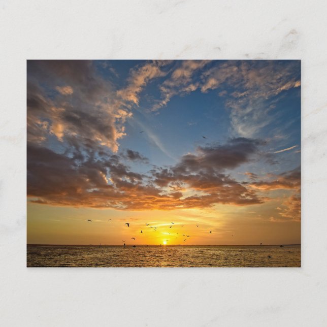 Postal Florida Sunset - Postcard (Anverso)