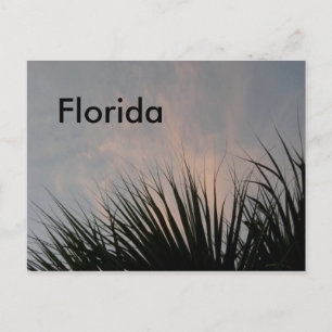 Postal Florida Sunset - Postcard