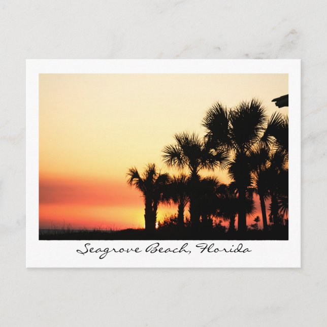 Postal Florida Sunset Seagrove Beach Palm Trees (Anverso)
