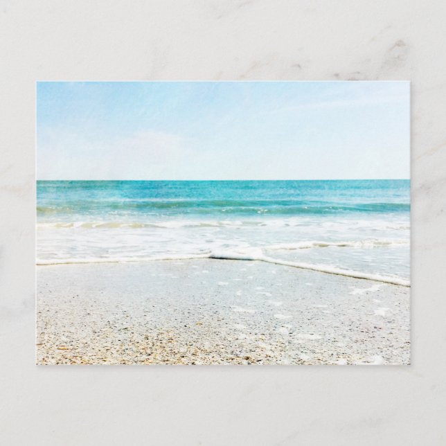Postal Florida Tropical Beach Sand Ocean Waves Shells (Anverso)