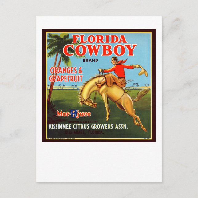 Postal Floriday Cowboy (Anverso)