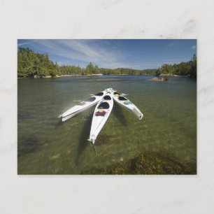 Postal Flota de kayak en reposo durante la tarde en