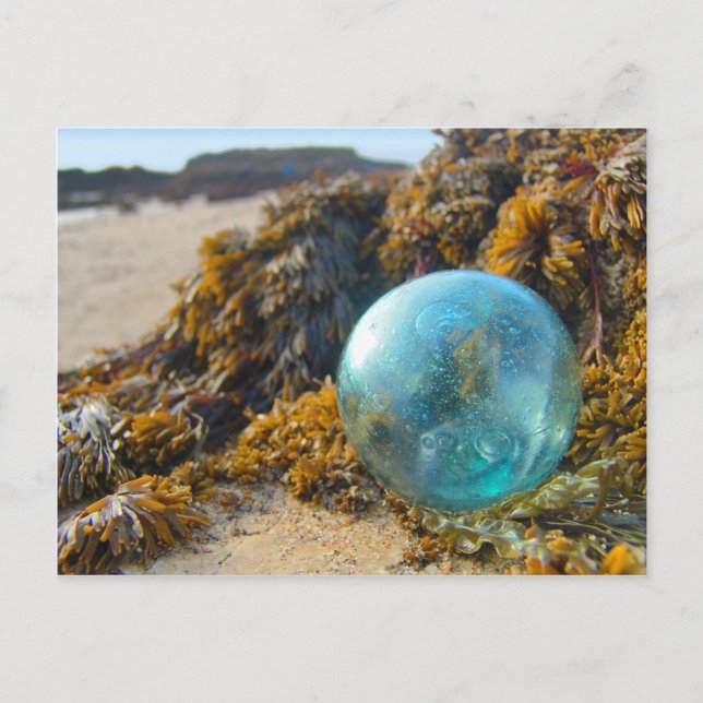 Postal Flota de vidrio en Kelp (Anverso)