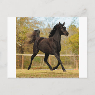 Postal Flotando en el aire