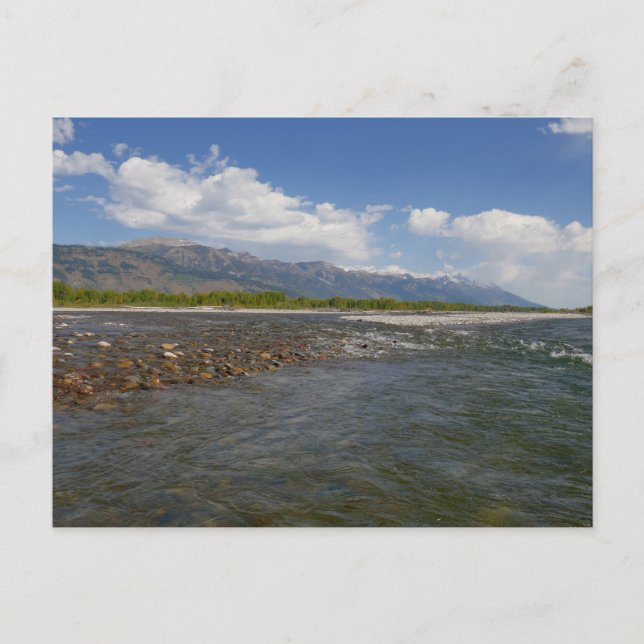 Postal Flotando por el río serpiente II (Anverso)