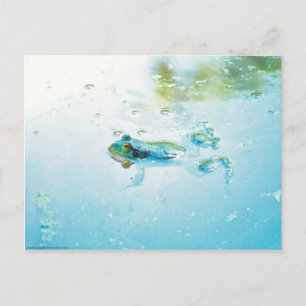 Postal Flotante