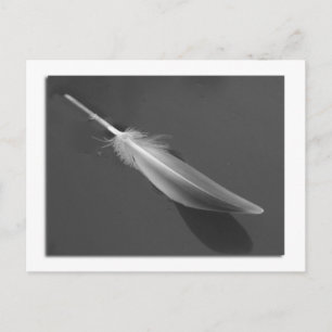 Postal flotante de plumas