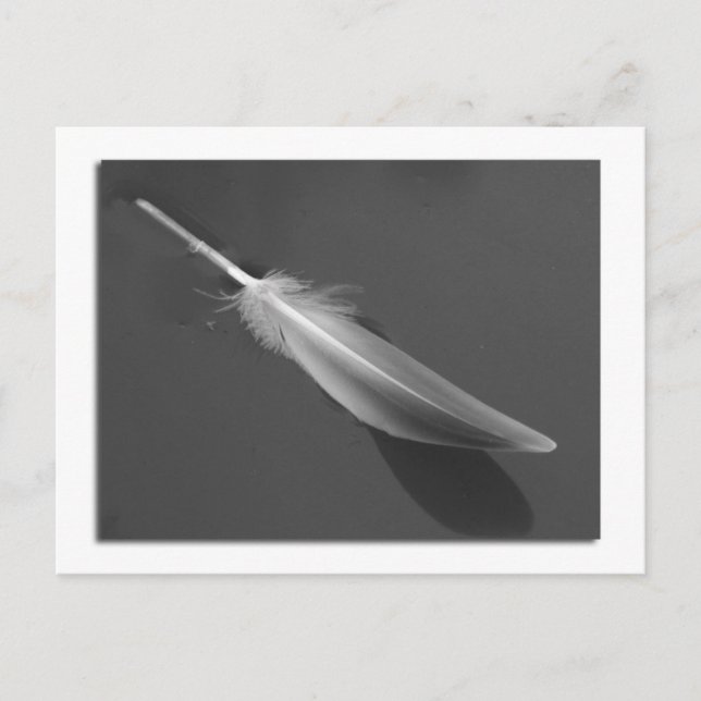 Postal flotante de plumas (Anverso)