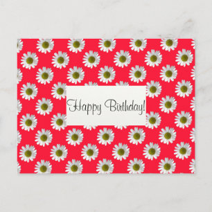 Postal Flower florales daisises sobre el rosa rojo