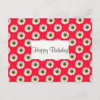 Postal Flower florales daisises sobre el rosa rojo