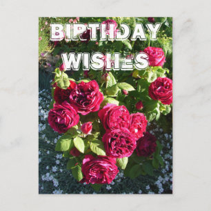 Postal Flower Garden Rojo Flower Floral Feliz cumpleaños