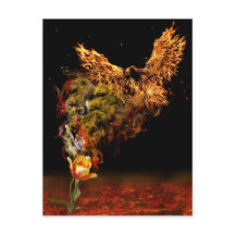 Flower Phoenix