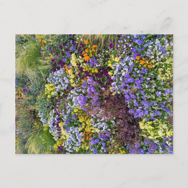 Postal Flower Power - 1 (Anverso)