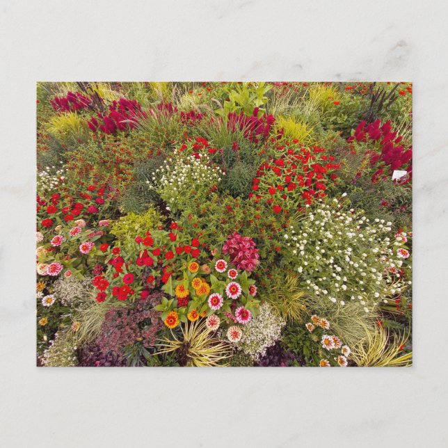 Postal Flower Power - 10 (Anverso)