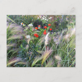 Postal Flower Power - 13