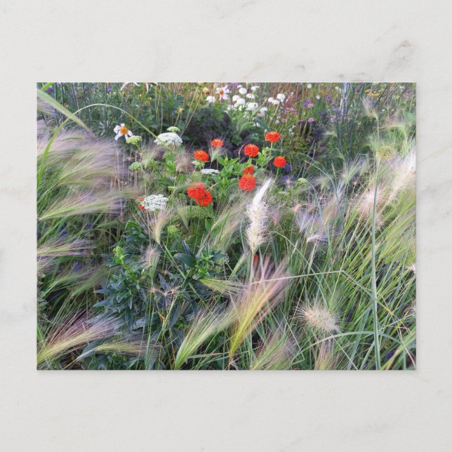 Postal Flower Power - 13 (Anverso)