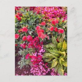 Postal Flower Power - 14