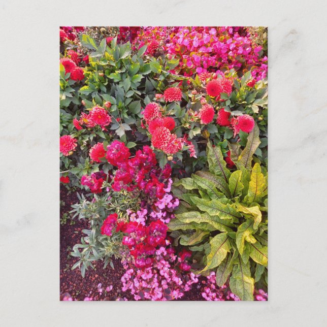 Postal Flower Power - 14 (Anverso)