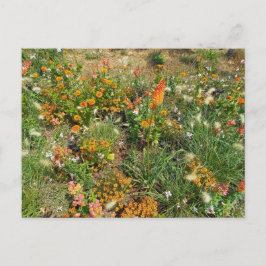 Postal Flower Power - 2