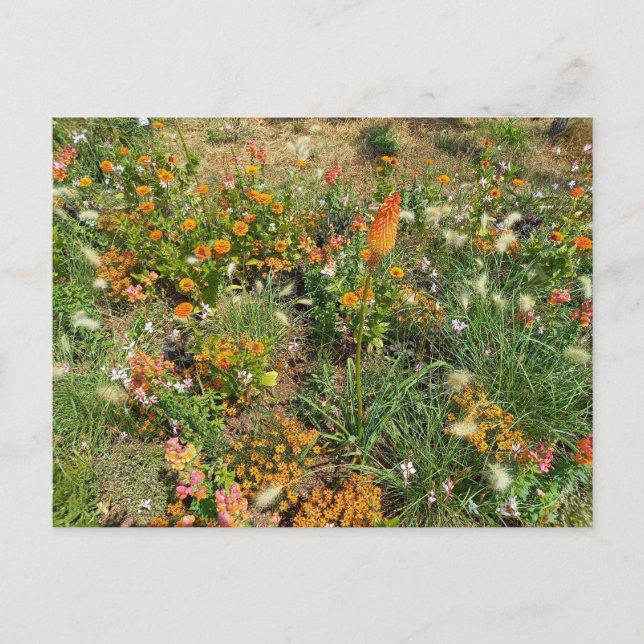 Postal Flower Power - 2 (Anverso)