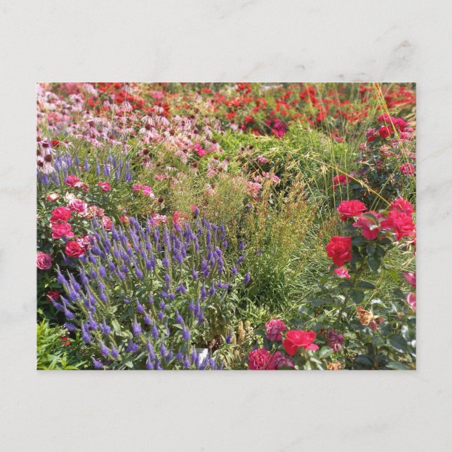 Postal Flower Power - 3 (Anverso)