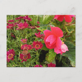 Postal Flower Power - 9