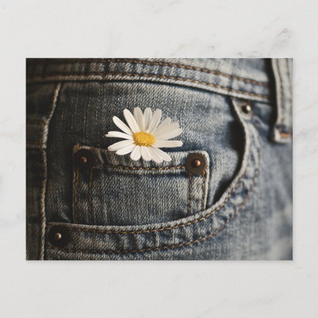 Postal Flowers | Daisy in Jeans Pocket (Anverso)