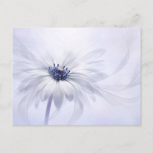 Postal Flowers | Pale Purple Flower (Anverso)