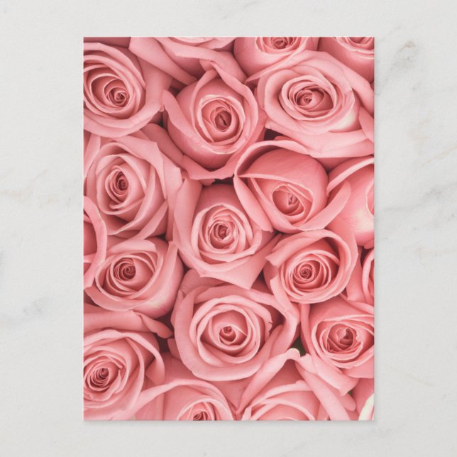 Postal Flowers | Pink Roses (Anverso)