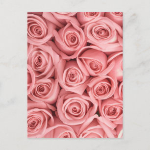 Postal Flowers   Pink Roses