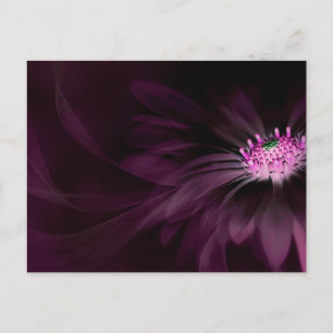 Postal Flowers   Purple Daisy
