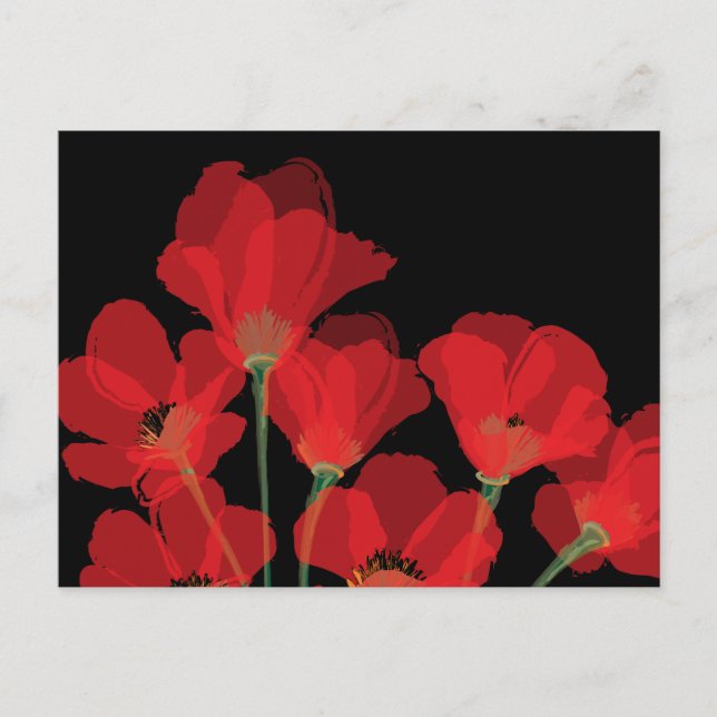 Postal Fluers de Pavot Rouge sur Noir (Anverso)