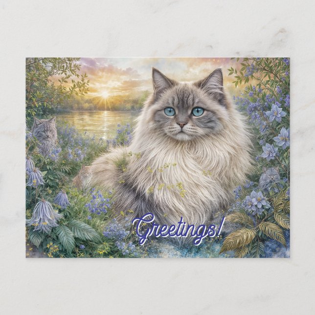 Postal Fluffy Himalayan Cat In Purple Garden at Sunrise (Anverso)