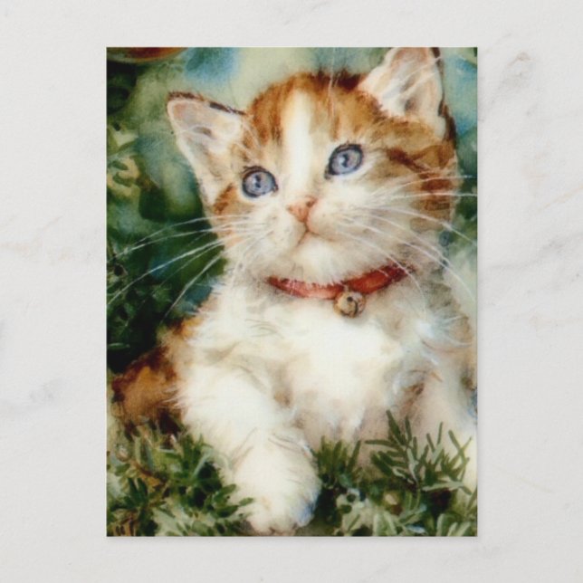Postal Fluffy navidades cat Watercolor (Anverso)