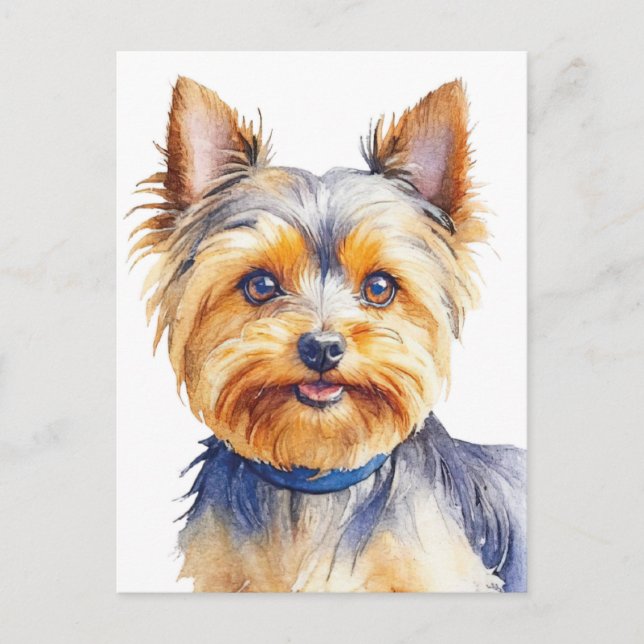 Postal Fluffy Yorkshire Terrier Soft and Gentle Dog Art (Anverso)