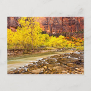 Postal Fluir al otoño