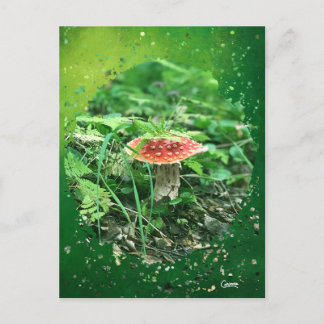 Postal Fly Agaric - Postcard