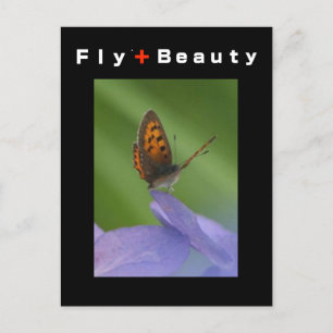 Postal FLY + Belleza